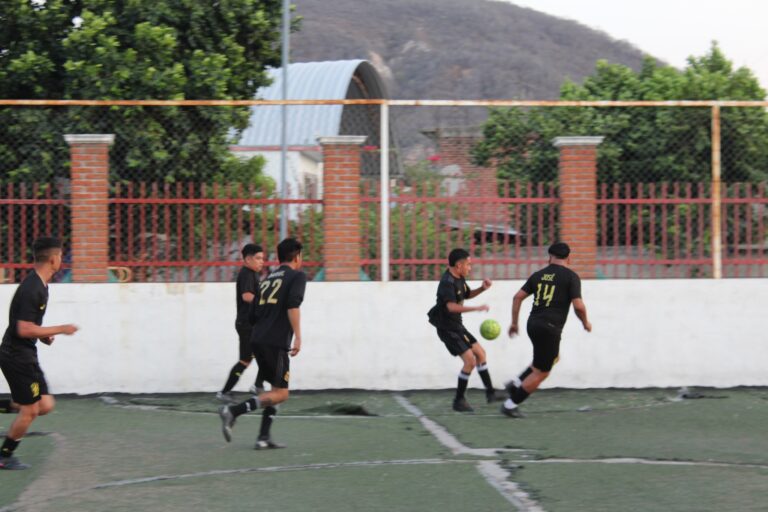 fut24_11