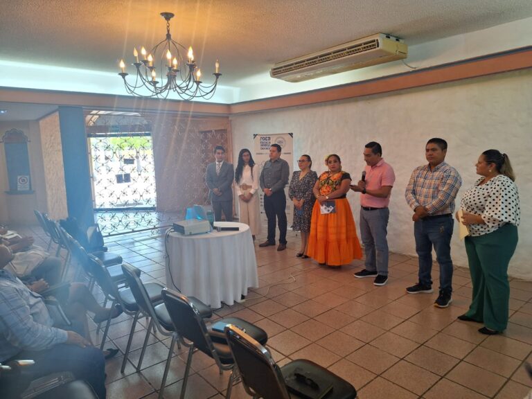 elecion2405