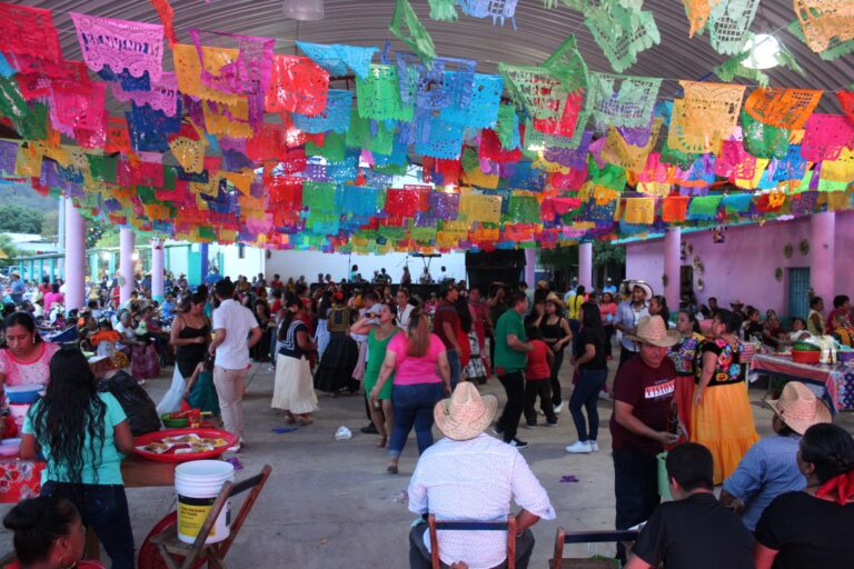 fiestgui14