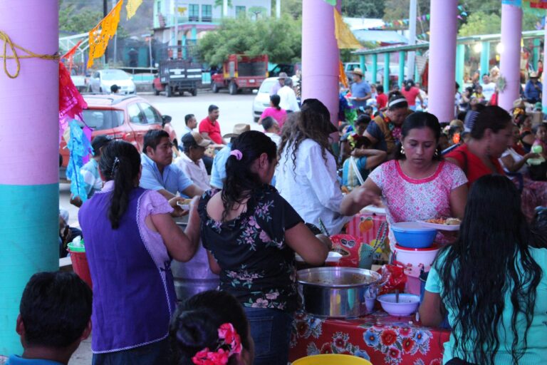 fiestgui15