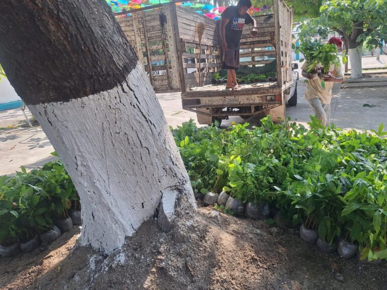 453655111_478204851577411_2789914123776712769_n