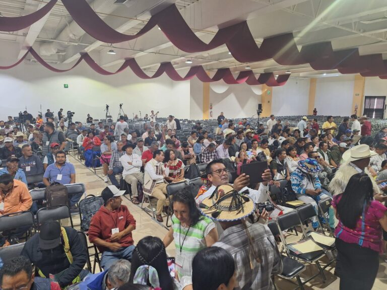 454651360_482423937822169_9162602903942726329_n