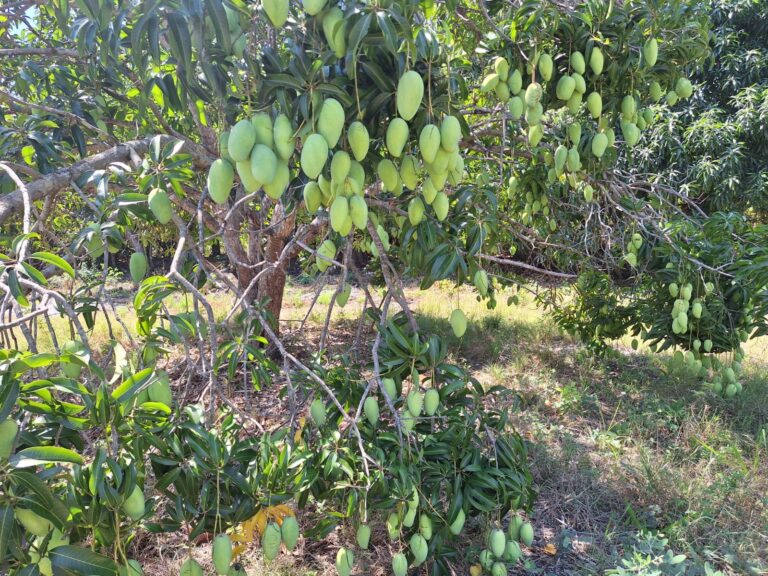 457001094_492802176784345_6444552906261340600_n