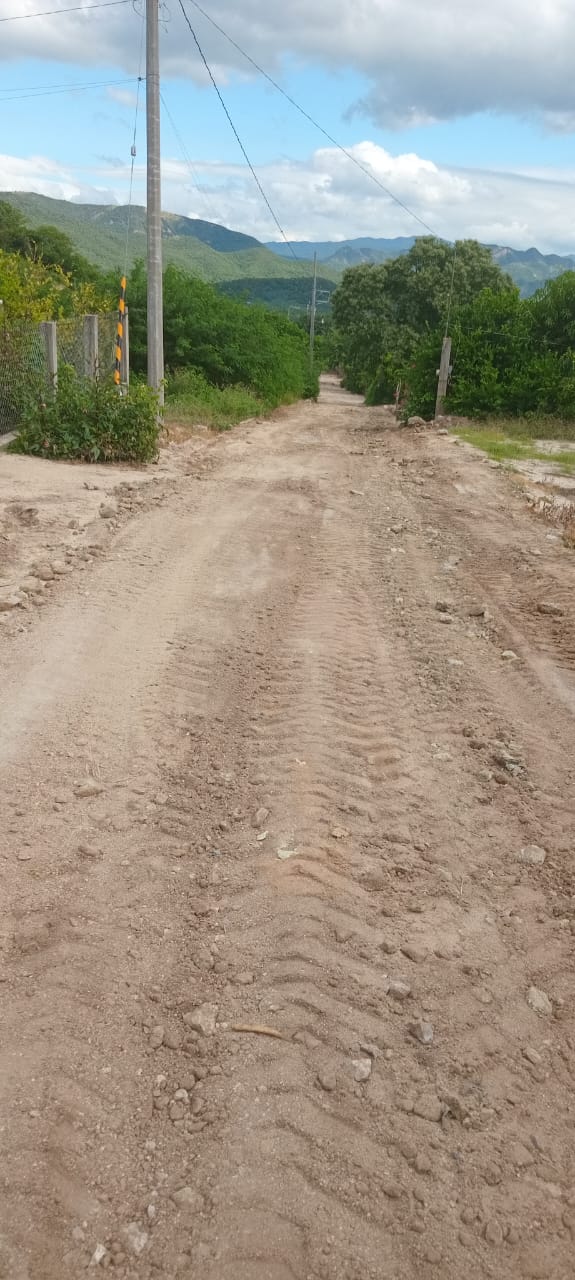 463305178_529400469791182_6592844517278612277_n