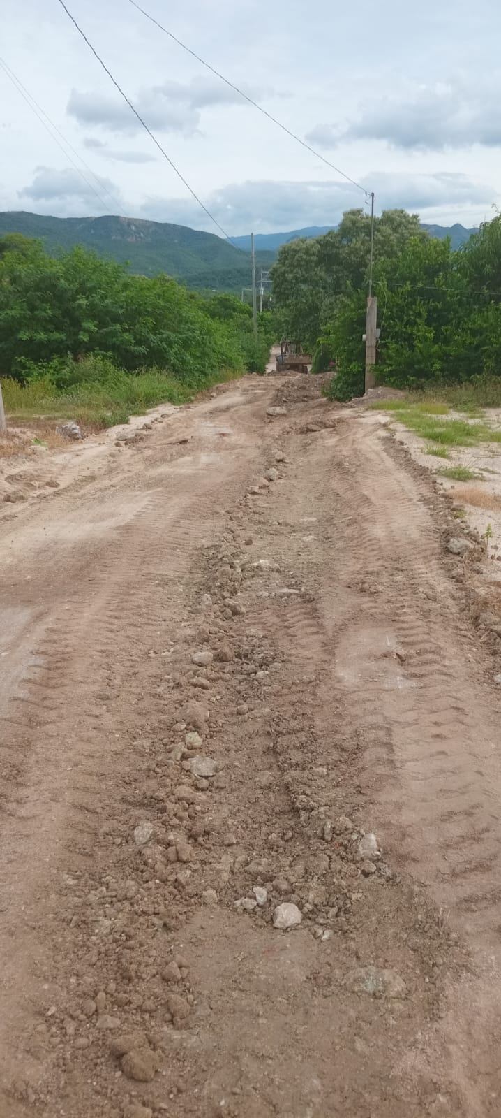 463414909_529400609791168_4863054296635347570_n