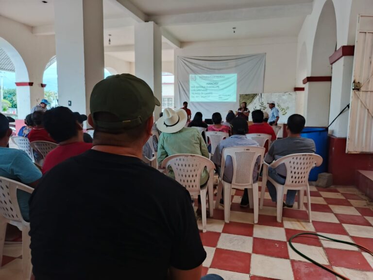 463629284_531007109630518_6547739552095006270_n