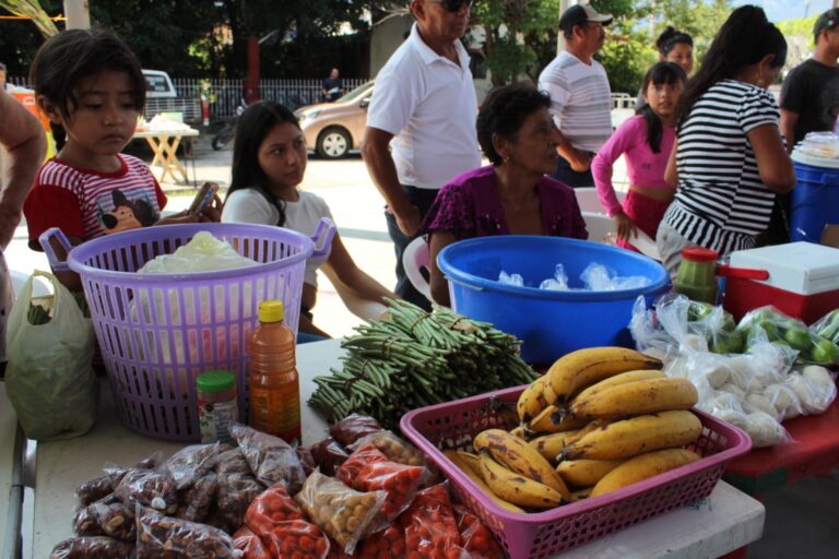 464432565_536775852386977_5205110667036646450_n