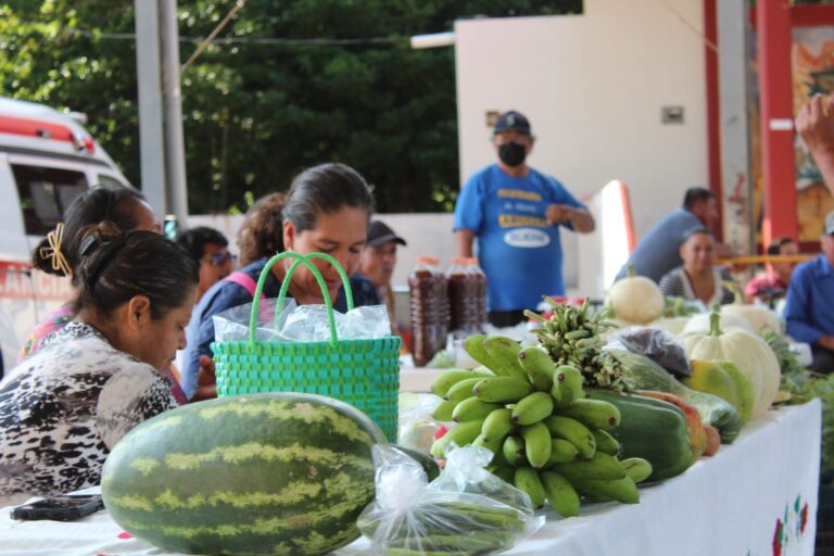 464618607_536774795720416_9026179197490353026_n