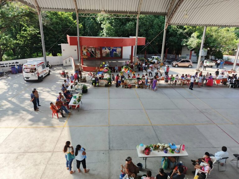 464629087_536439459087283_7219277847474197689_n