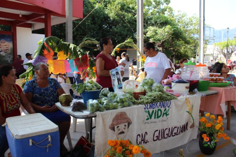 464723195_536776022386960_872972973136394231_n