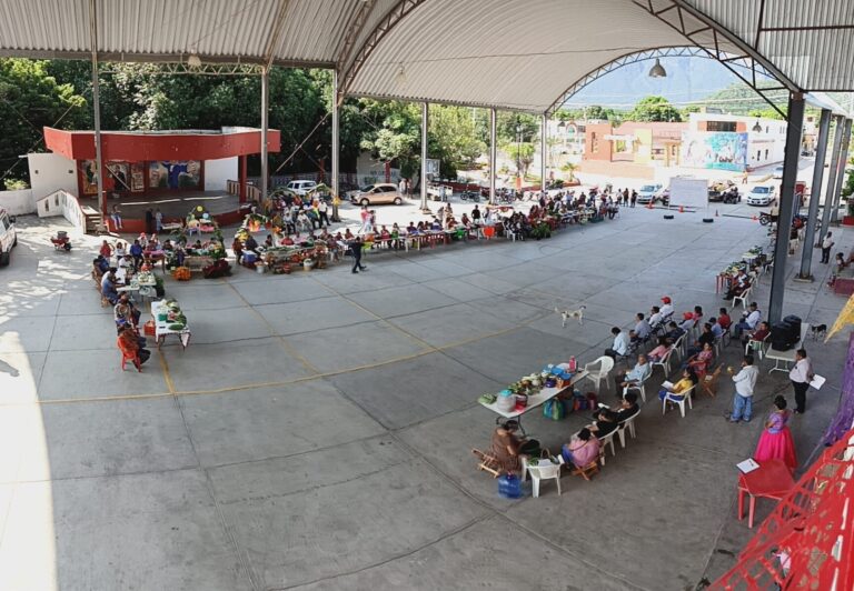 464730598_536439549087274_73850947756755914_n