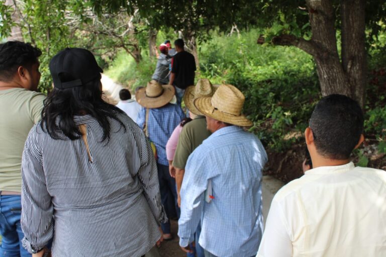 WhatsApp Image 2024-09-30 at 12.53.51 PM (1)