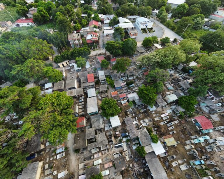 WhatsApp Image 2024-10-25 at 7.36.03 PM