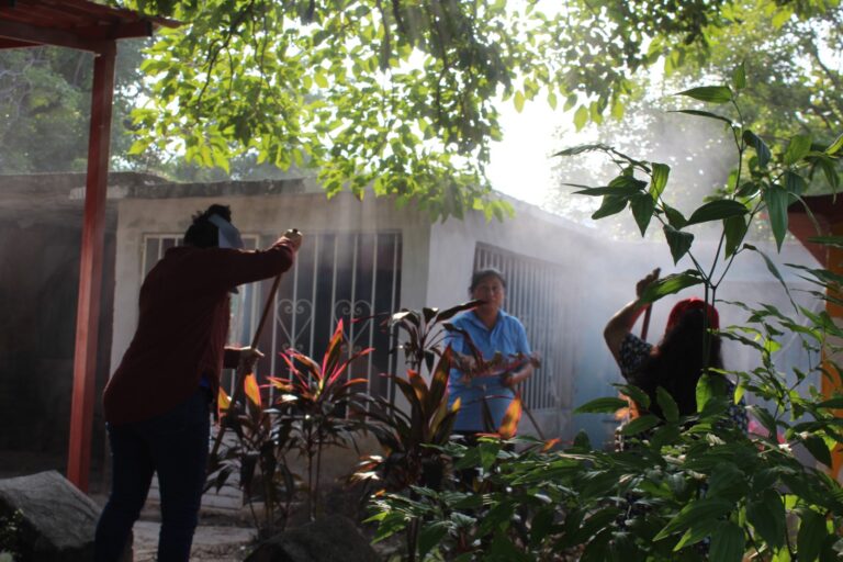 WhatsApp Image 2024-10-25 at 7.41.03 PM (2)