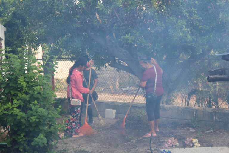 WhatsApp Image 2024-10-25 at 7.41.13 PM (2)