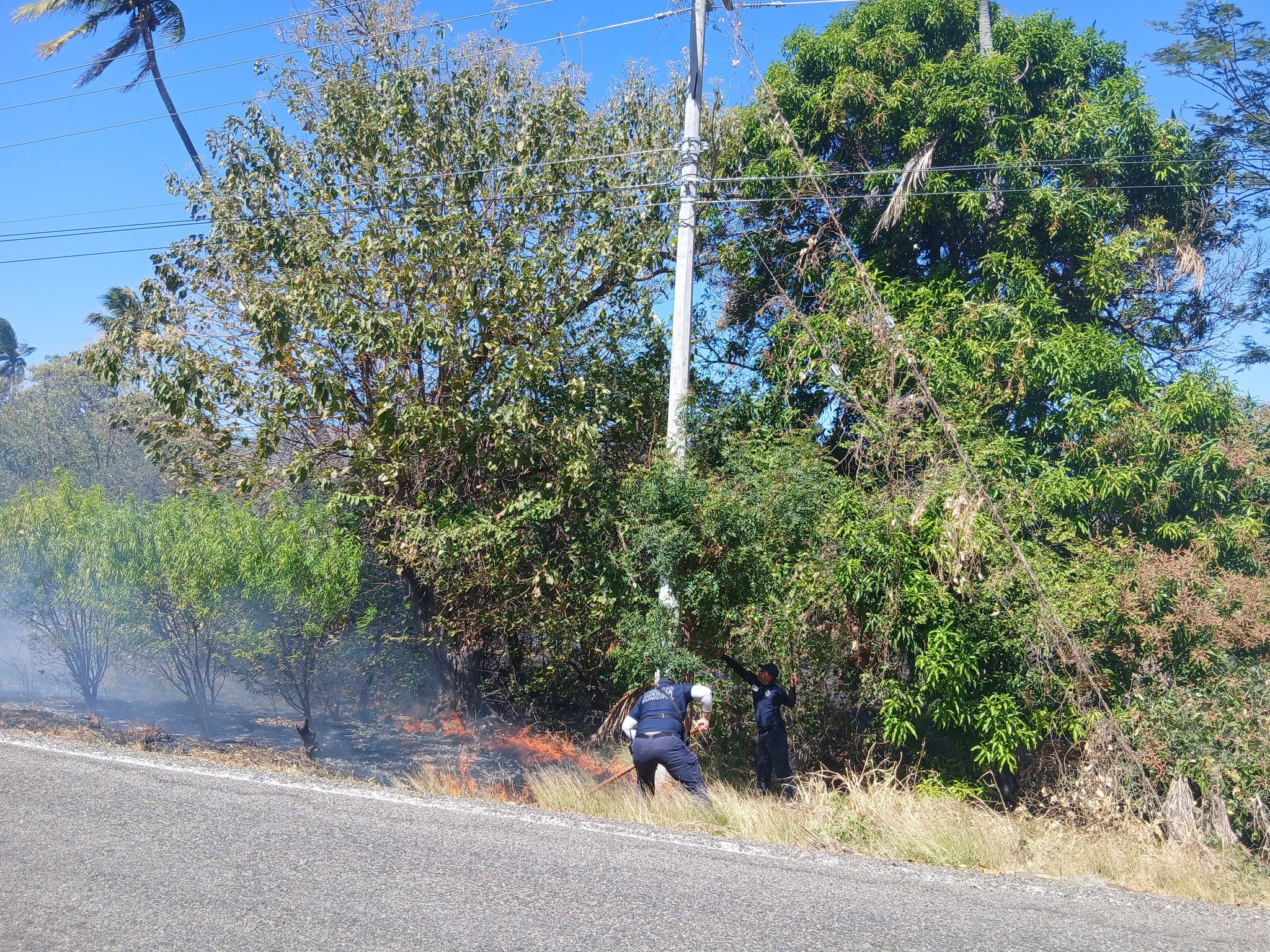 631032363_122158060832711118_4734548436073924141_n