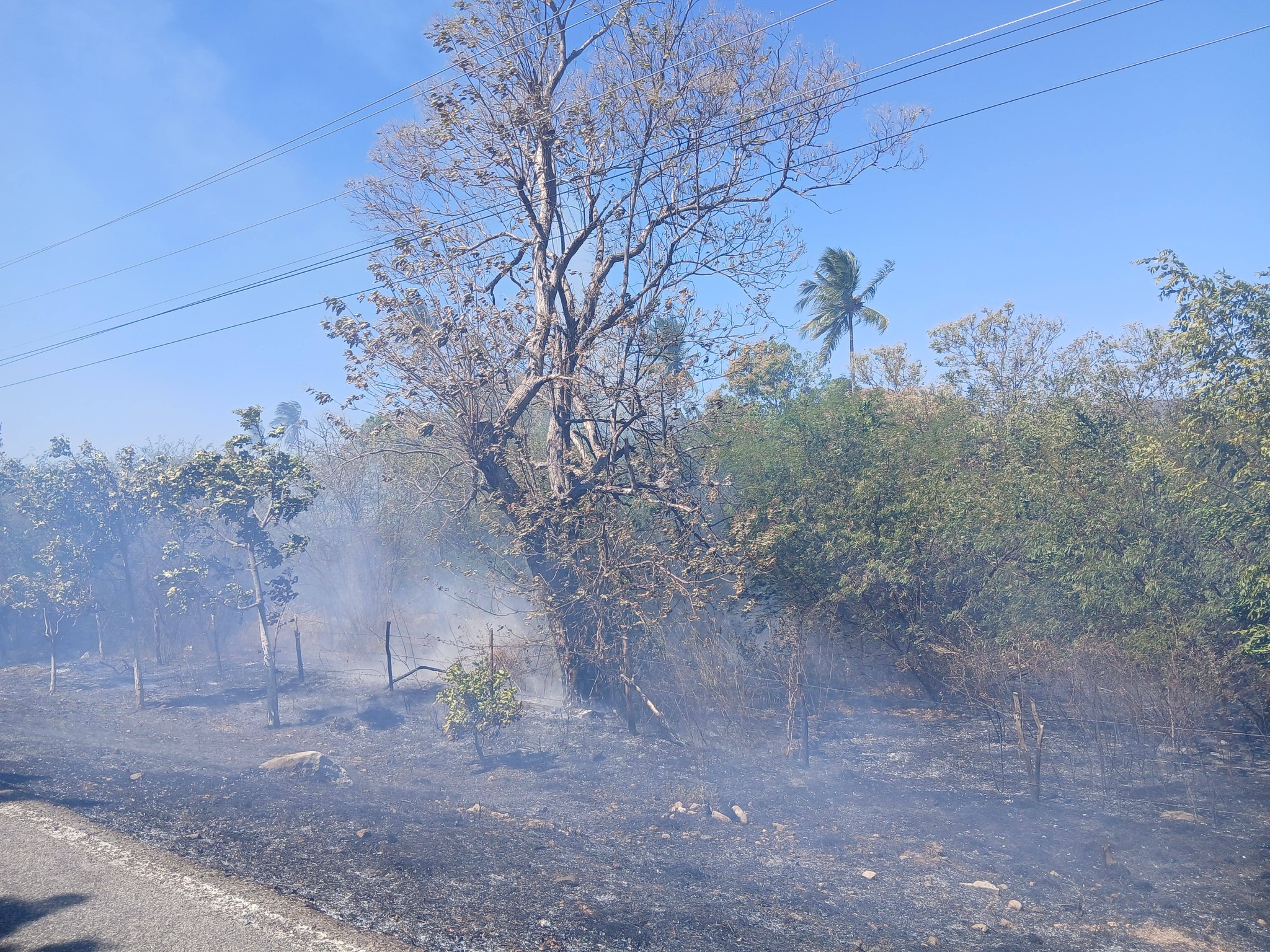 631100111_122158060928711118_5371560635634005820_n