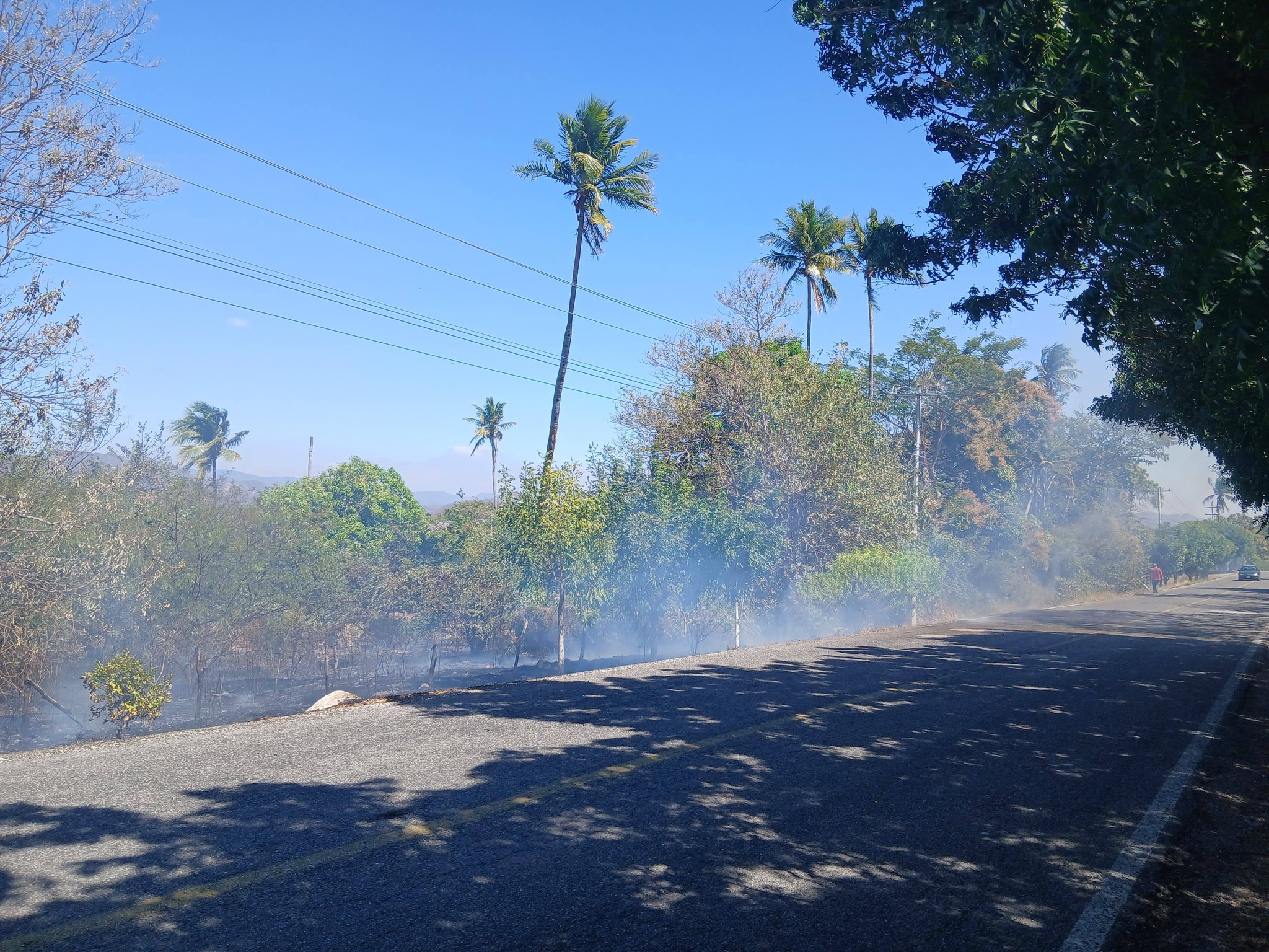 631712138_122158060874711118_7058548274977392665_n